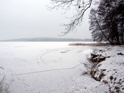 Wolziger See im Winter