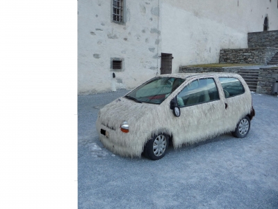 TWINGO mit Pelz