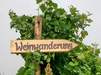 Schild zur Weinwanderung