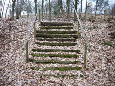 Treppe im Odenwald