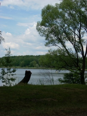 Frühling am Knappensee