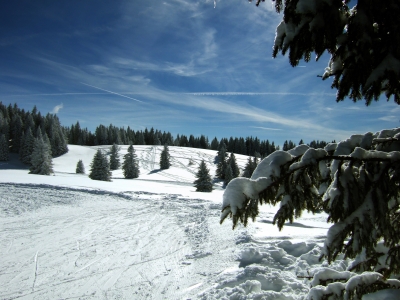 Verlockende Winterpracht