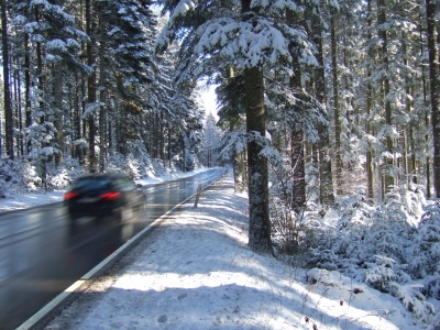 Winterliche Straße im Wald