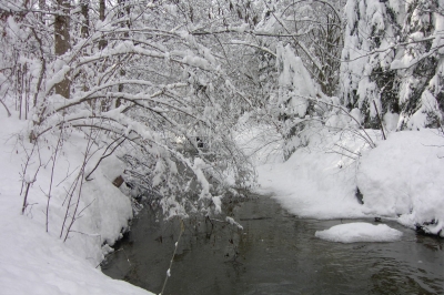 Leiblach im Winter