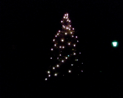 Lichterbaum in der Nacht