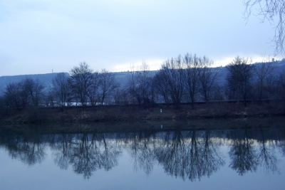 Abendspaziergang am Neckar 7