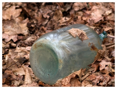 alte Flasche im Wald