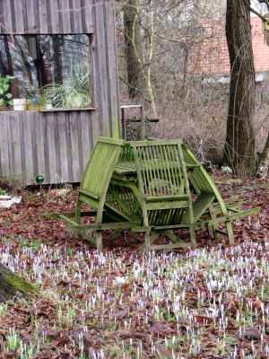 Spaziergang an der Wümme