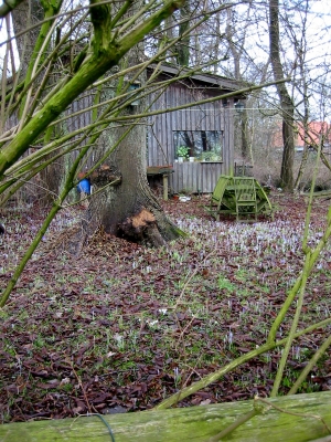 Spaziergang an der Wümme in Fischerhude