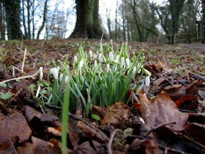 Spaziergang an der Wümme in Fischerhude