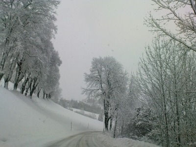 Winterwunderwelt
