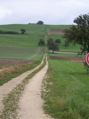 Wohin führt dieser Weg?