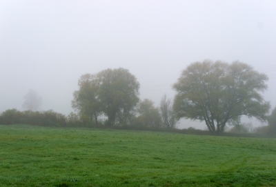 Herbstmorgen im Landschaftsschutzgebiet Mittleres Elbtal  I