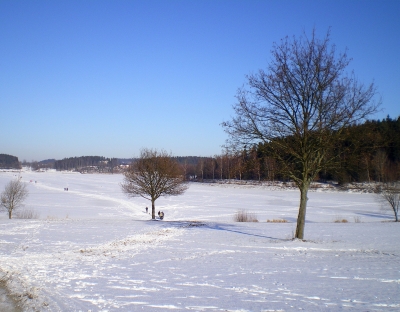 Winterlandschaft