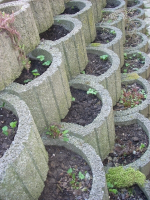 Warten auf den Frühling