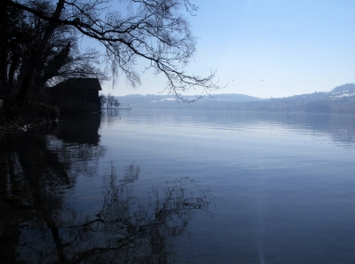 Frühlingsspaziergang am See / 8