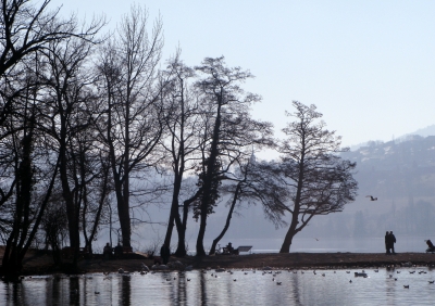 Frühlingsspaziergang am See / 5