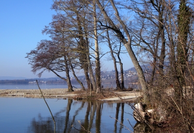 Frühlingsspaziergang am See / 3