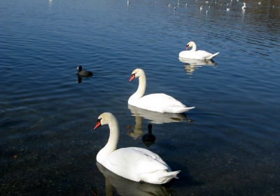 Frühlingsspaziergang am See