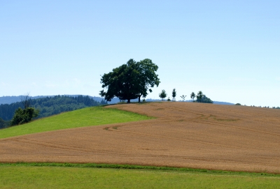 Hügelland