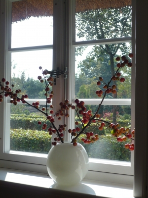 Vase im Fenster