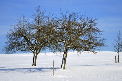 immer noch Winter