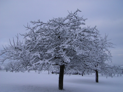 Winter 2009 im Main-Kinzig-Kreis