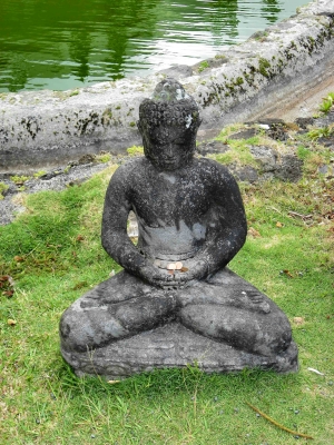 Hawaiian Buddha