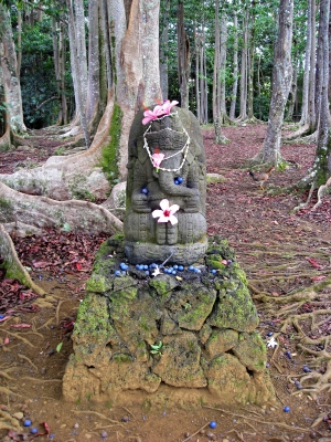 Hindu Temple Hawaii