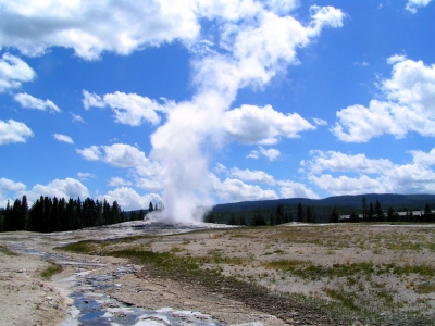 Yellowstone Nationalpark 15