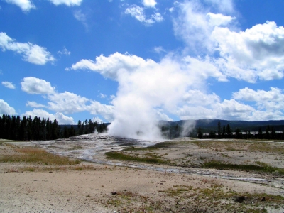 Yellowstone Nationalpark 17