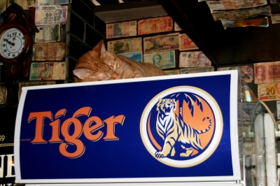 Tiger on Tiger