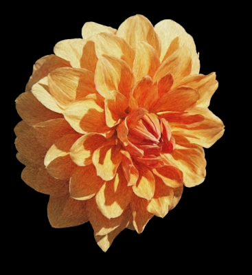 Pixelclipart  Dahlienblüte