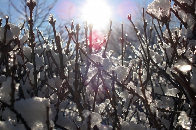 Winteraufgang 4/4