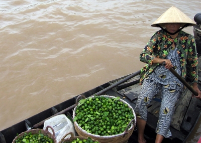 Floating Market auf dem Mekong in Vietnam