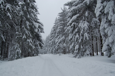 Straße beim Schneckenstein im Winter