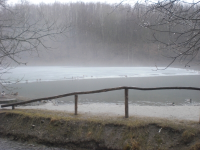 Nebel überm See