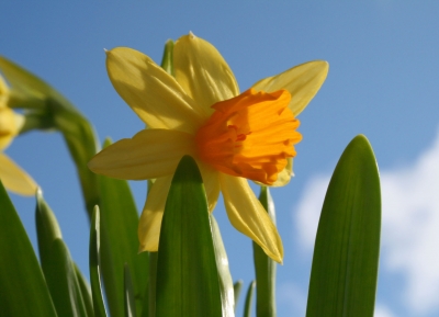 Der Frühling kommt!