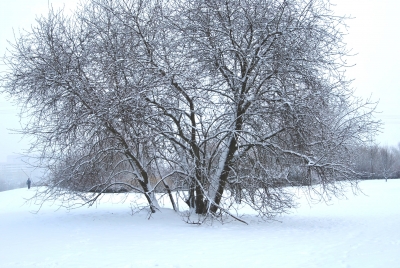 Berliner Schnee