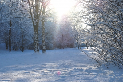 Berliner Schnee