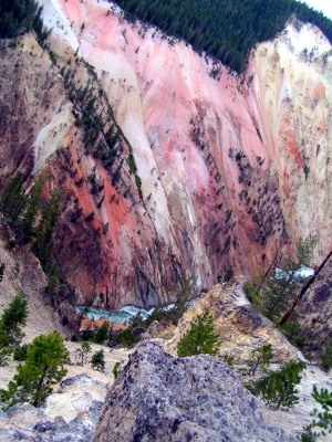 Yellowstone River 6