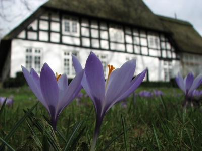 ENDLICH FRÜHLING