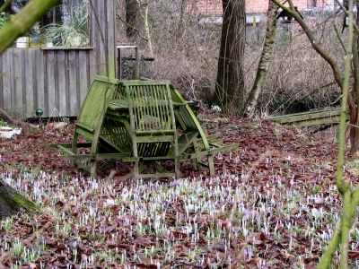 ENDLICH FRÜHLING