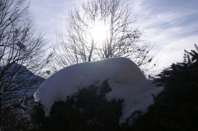 Die Sonne schaut mal vorbei