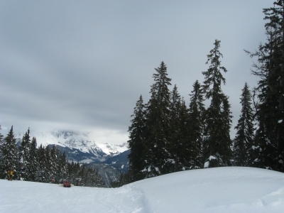 Auf der Fageralm 8