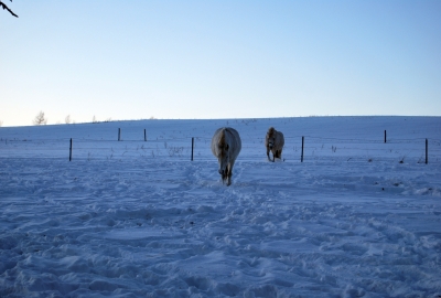 Landschaft