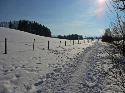 Winter-Wanderung