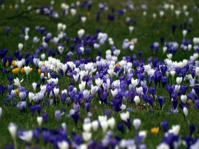 Das ist Frühling