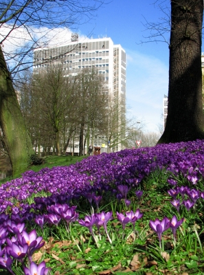 Frühling am Wall in Bremen