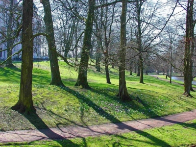 Frühling im Park